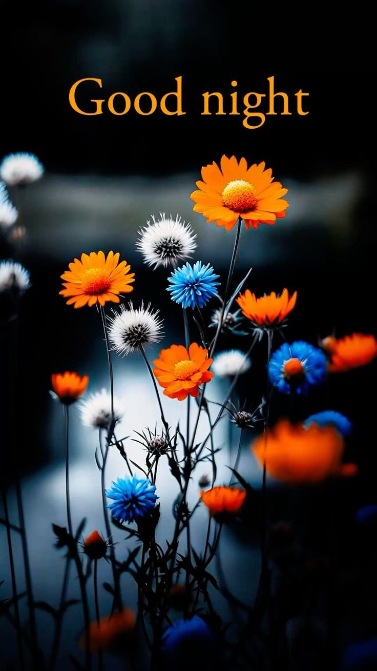 Beautiful Good Night Photo