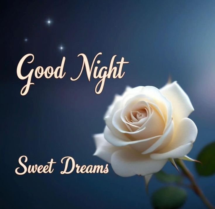 Beautiful Good Night Photo