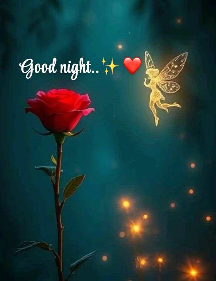 Beautiful Good Night Photo