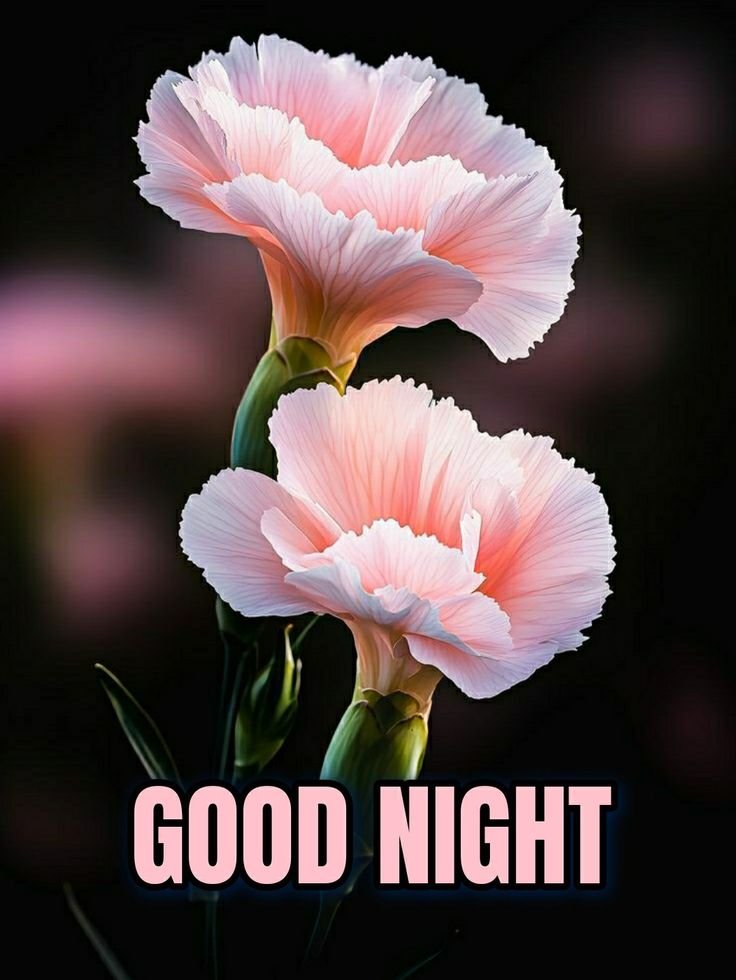 Good Night sweet Dreams Images