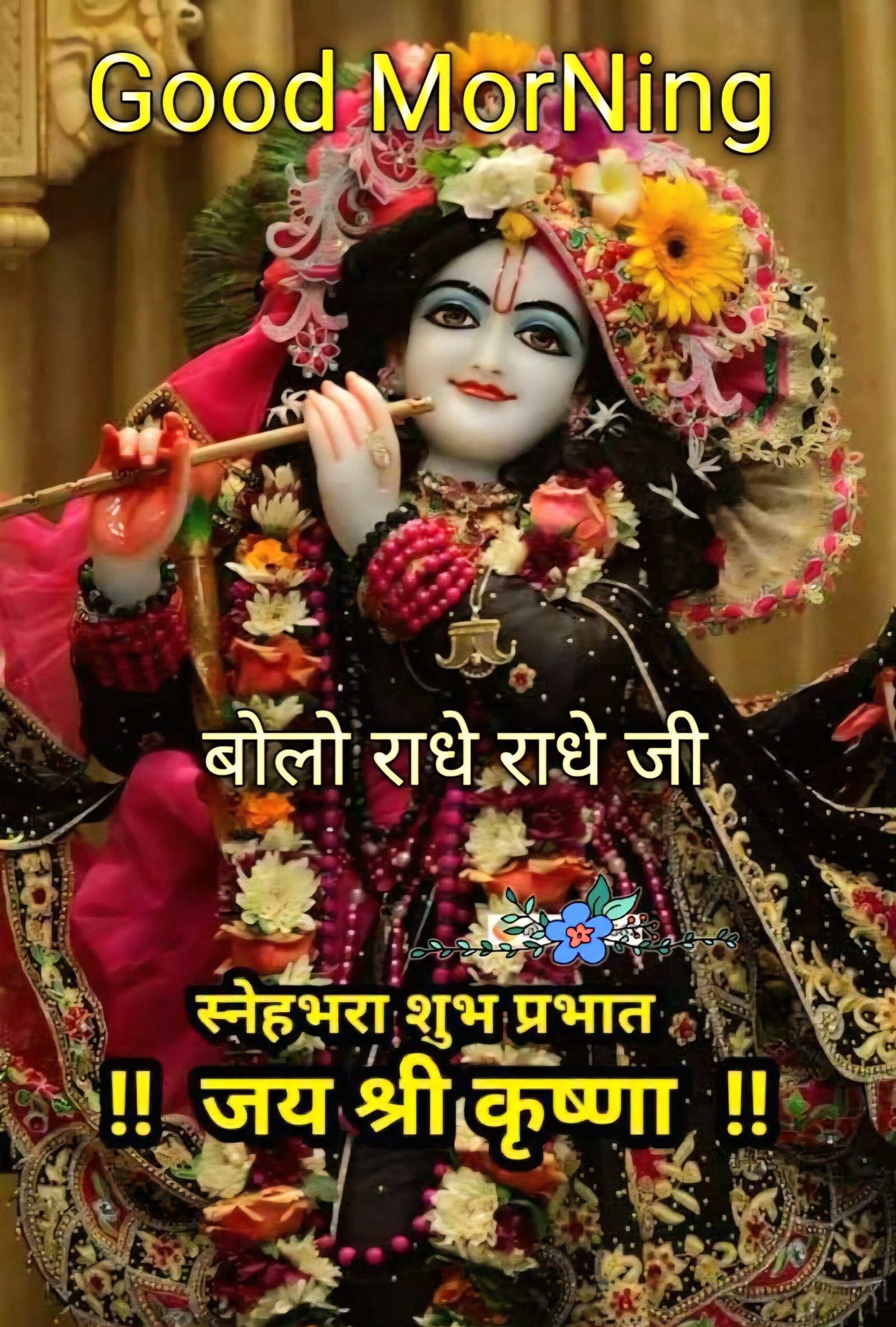 Radhe Radhe Good Morning Images for whatsapp