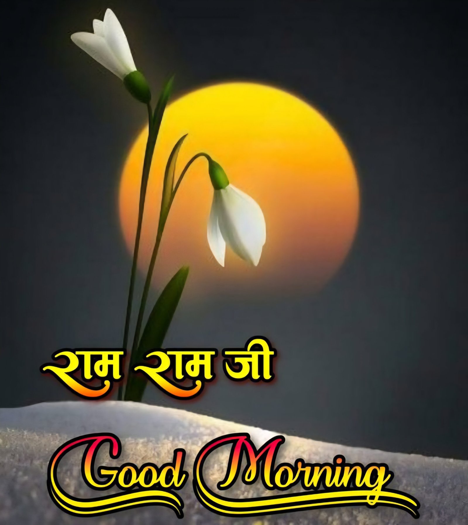 राम राम जी सुप्रभात फोटो