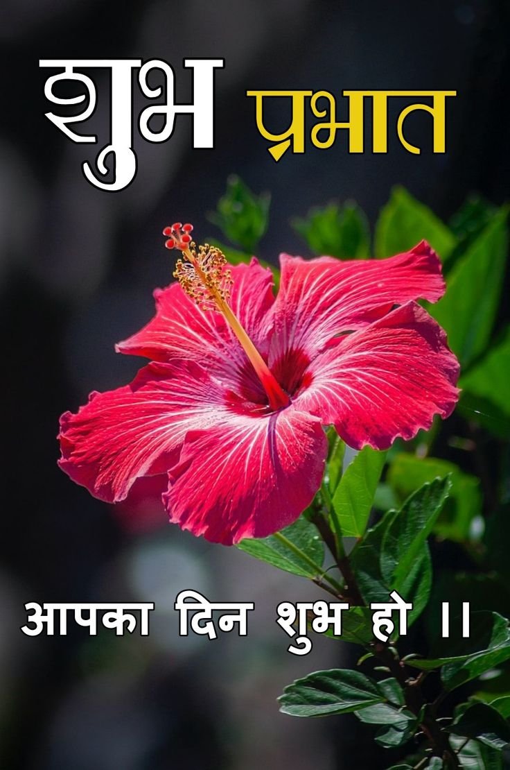 शुभ प्रभात फोटो