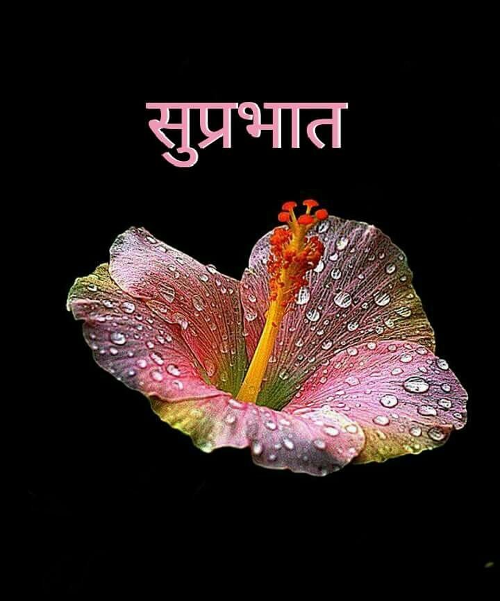 शुभ प्रभात फोटो