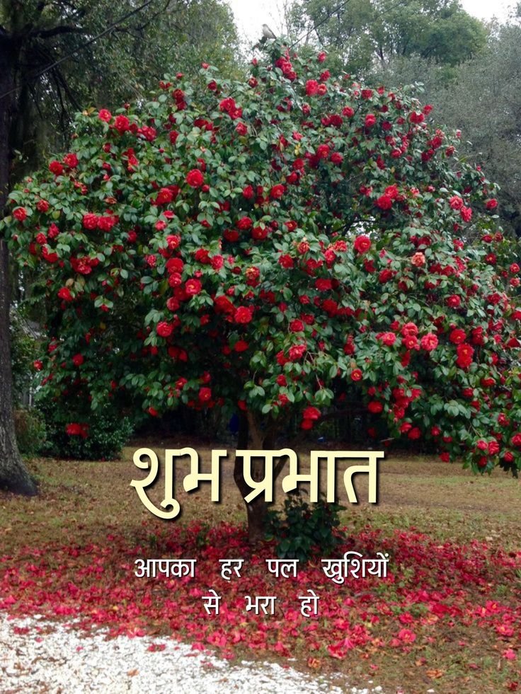 Khubsurat Subh Prabhat Photos