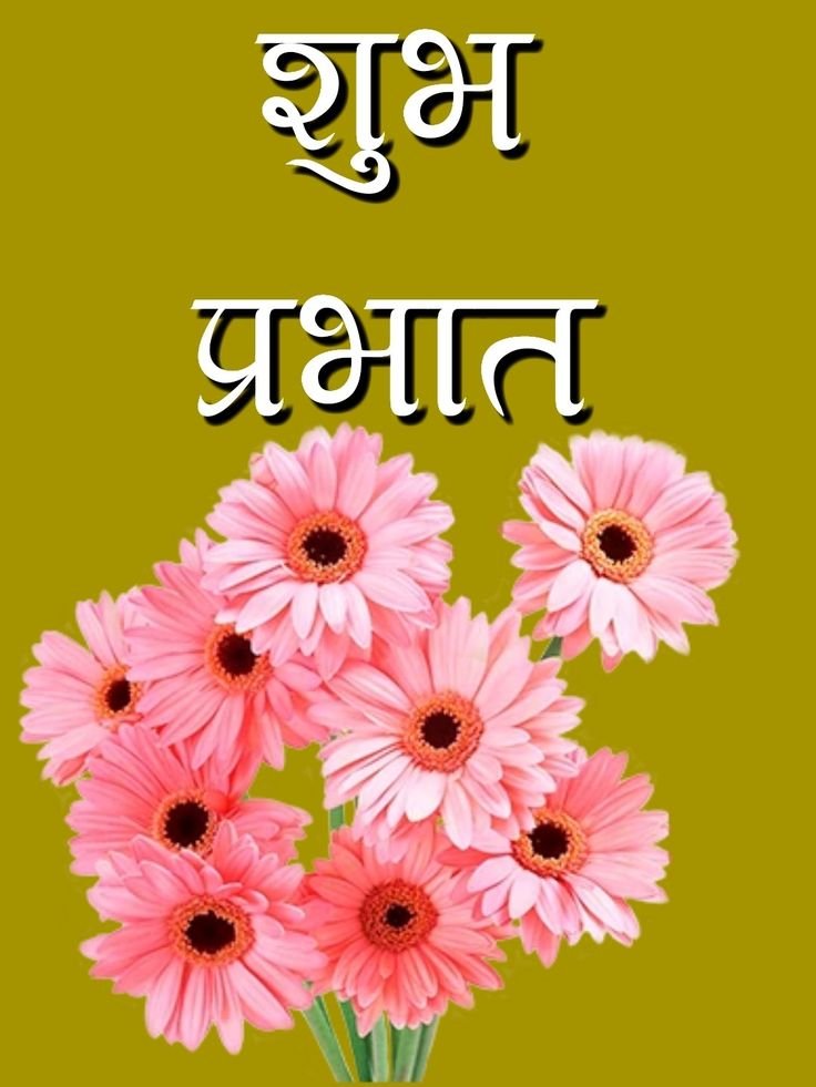 शुभ प्रभात नमस्कार फोटो 