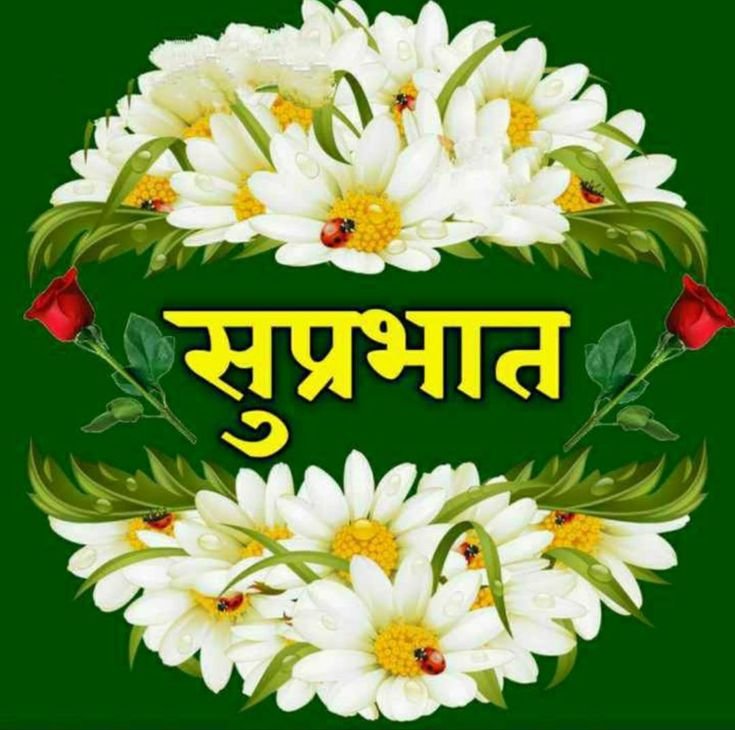 शुभ प्रभात नमस्कार फोटो 