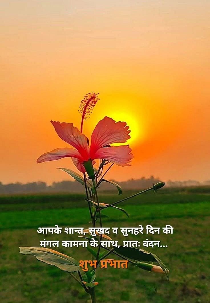 Good Morning Images Hindi 