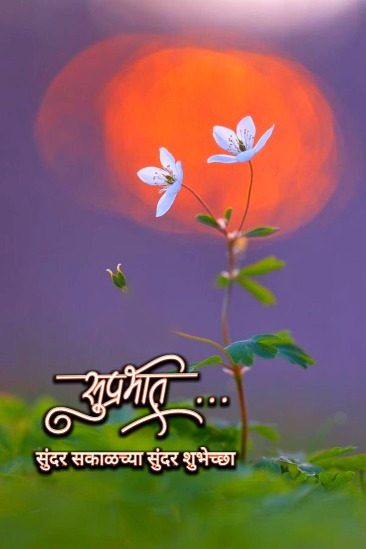 शुभ प्रभात नमस्कार फोटो 