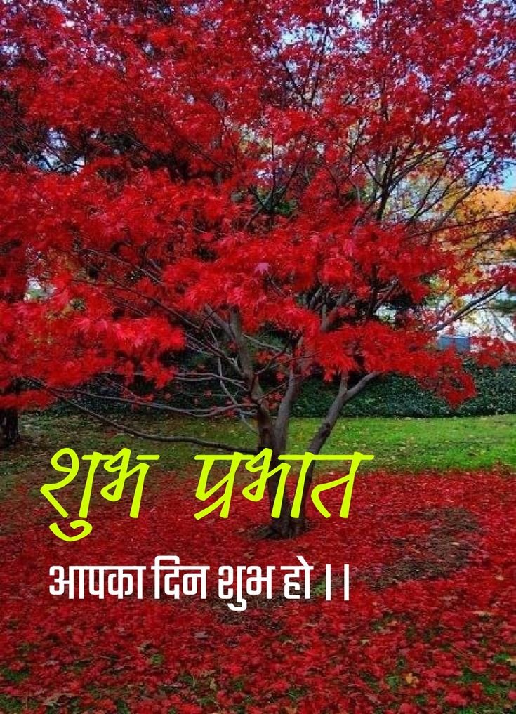 Subh Prabhat Images