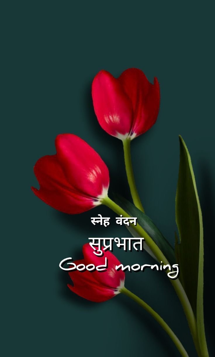Good Morning Images Hindi 