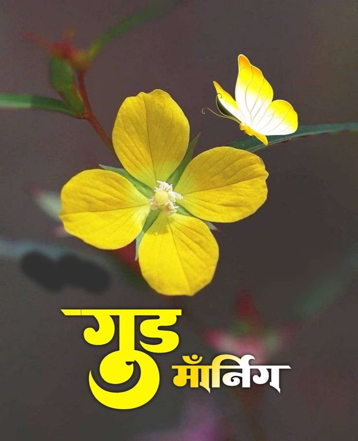 Good Morning Images Hindi 