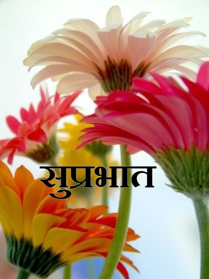 Good Morning Images Hindi 