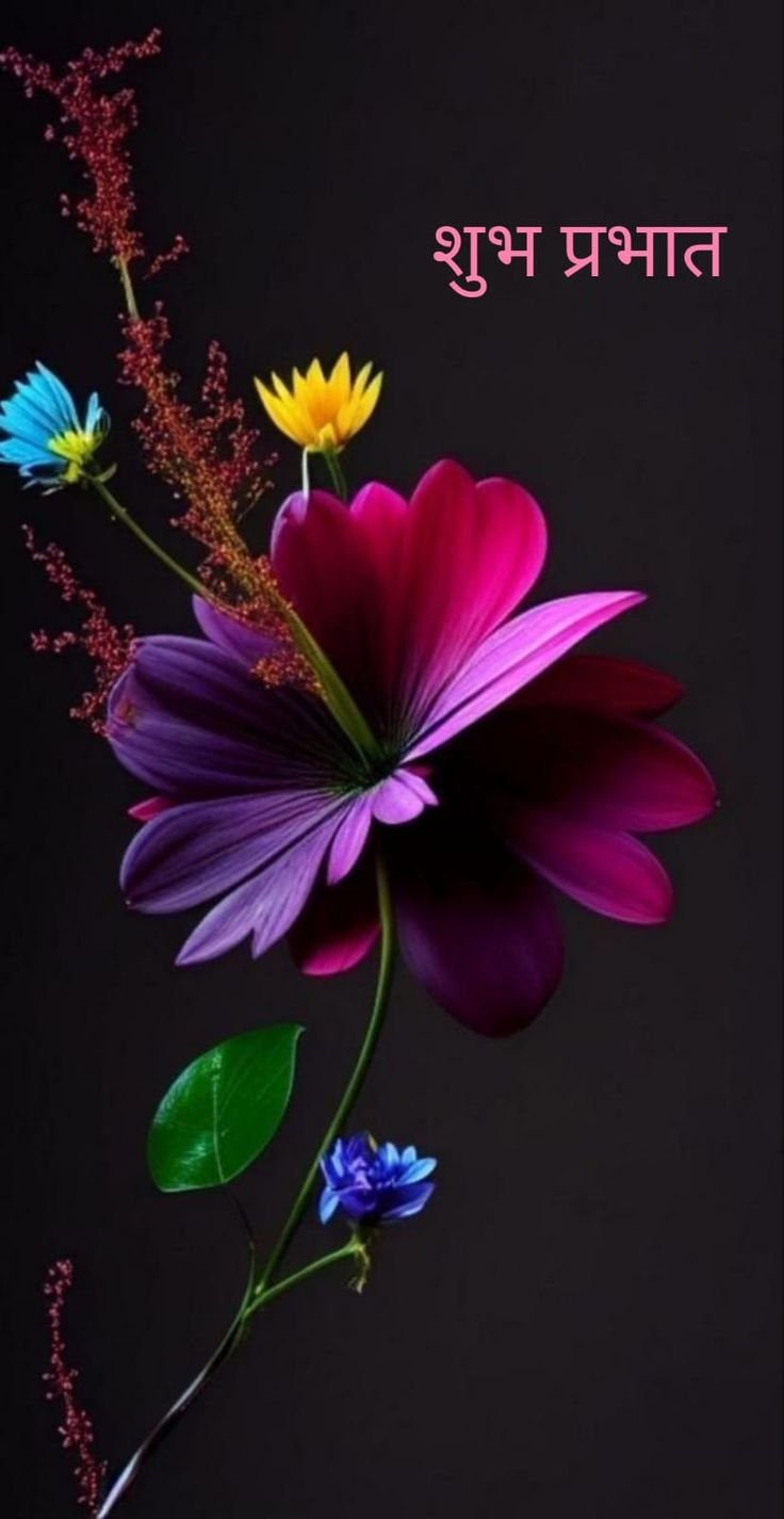 शुभ प्रभात फोटो