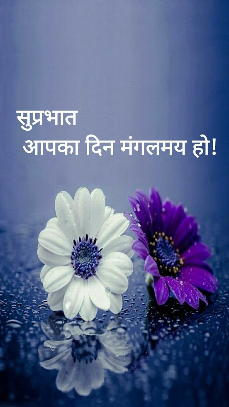 शुभ प्रभात फोटो