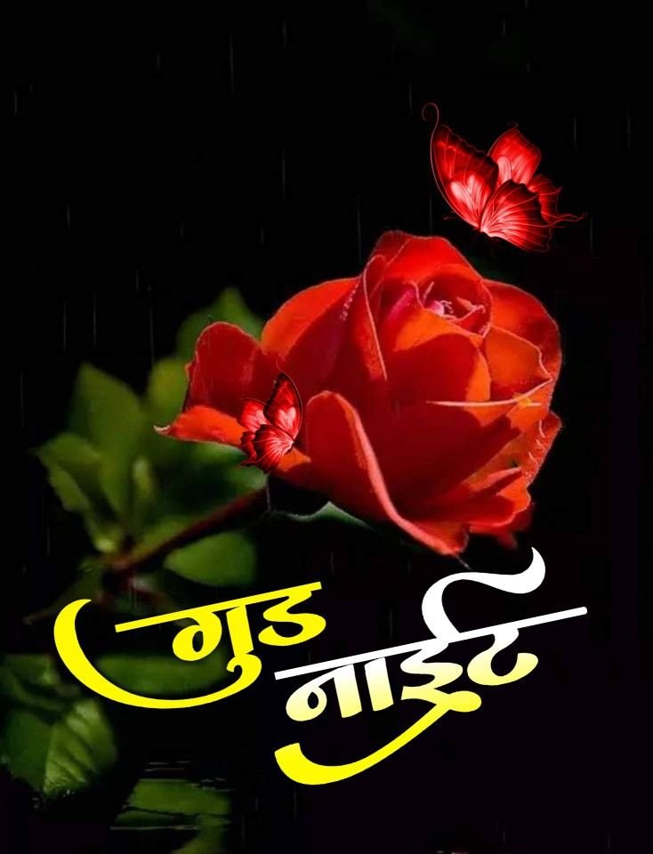Good Night Images Hindi