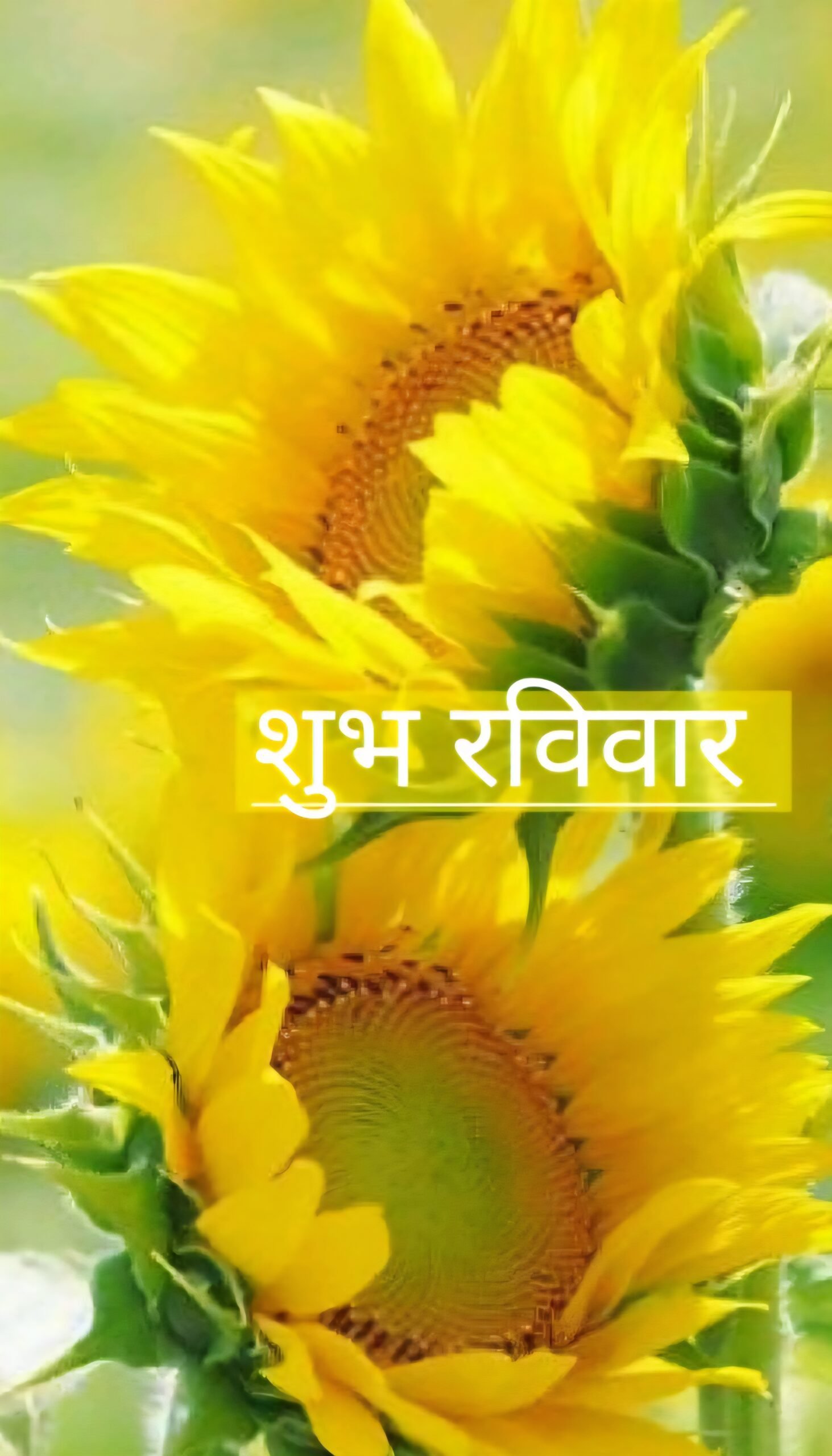 Subh Ravivar Good Morning Images