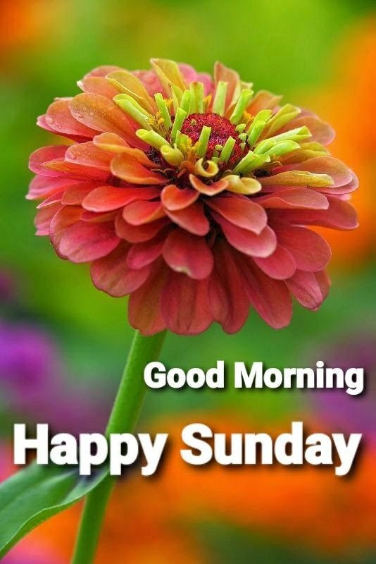 शुभ रविवार भगवान के फटो 