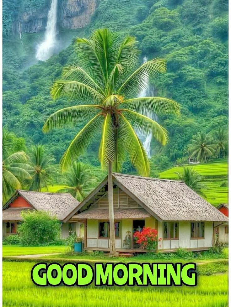 Indian village good morning nature images