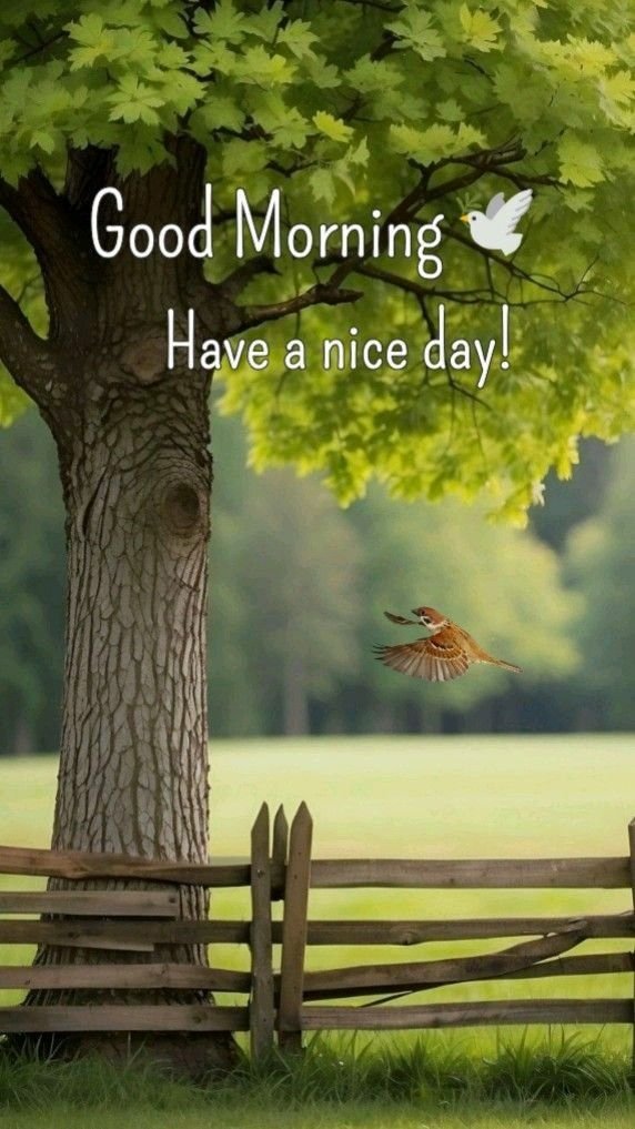 Beautiful village good morning nature images