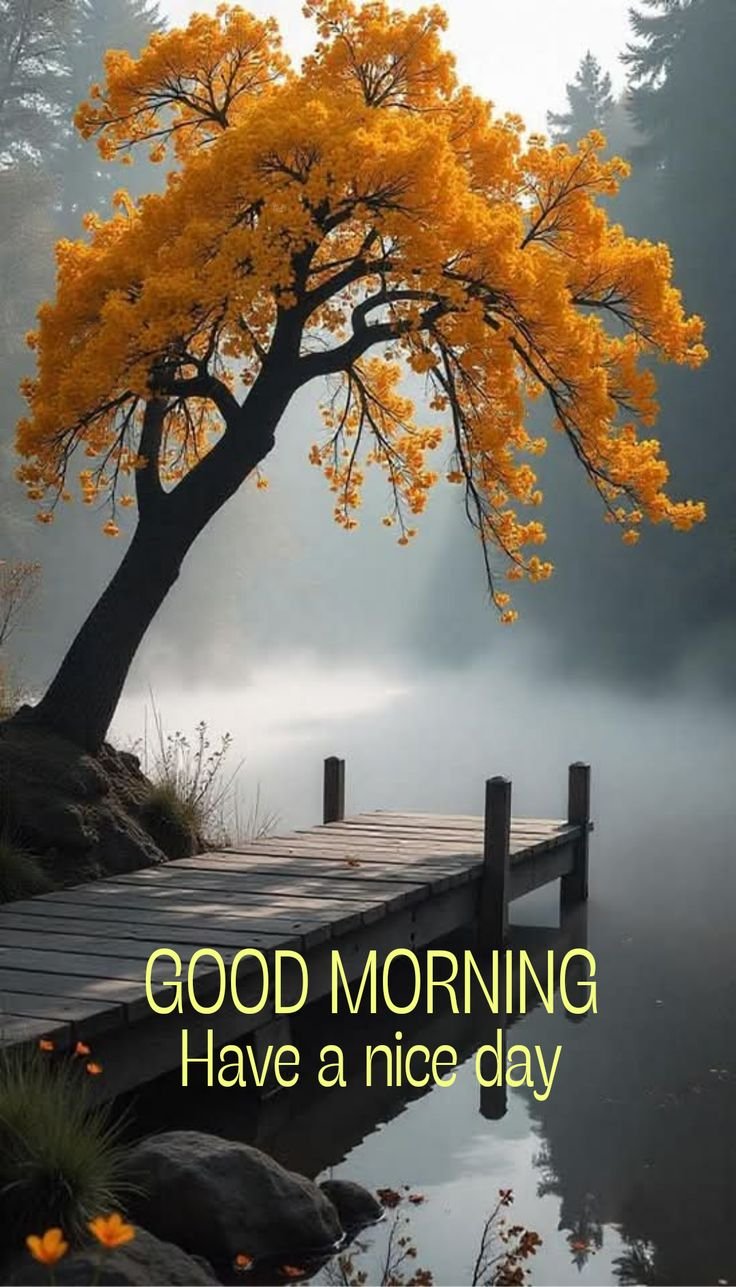 Beautiful village good morning nature images