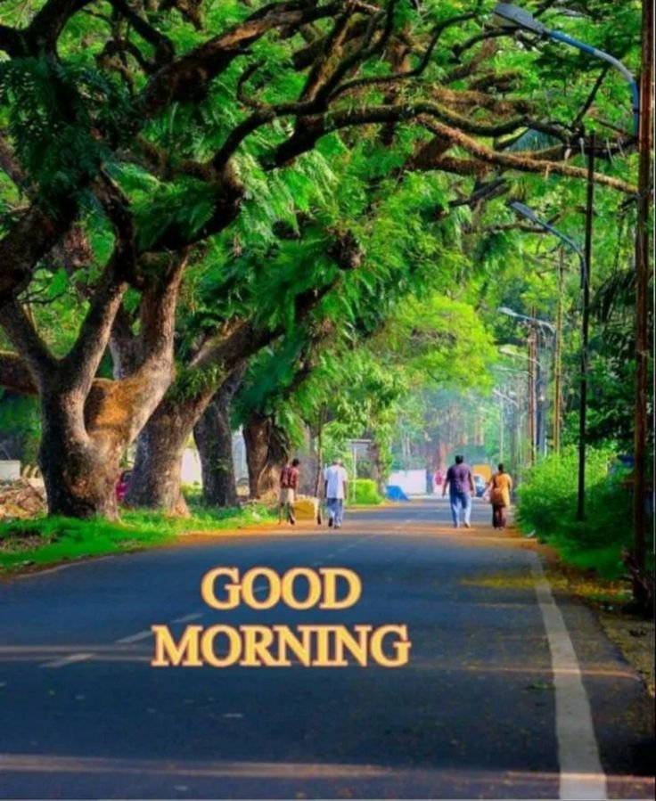 Beautiful village good morning nature images