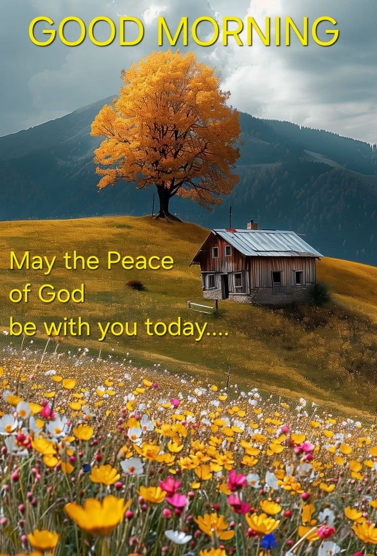 Good Morning Village Images Hd