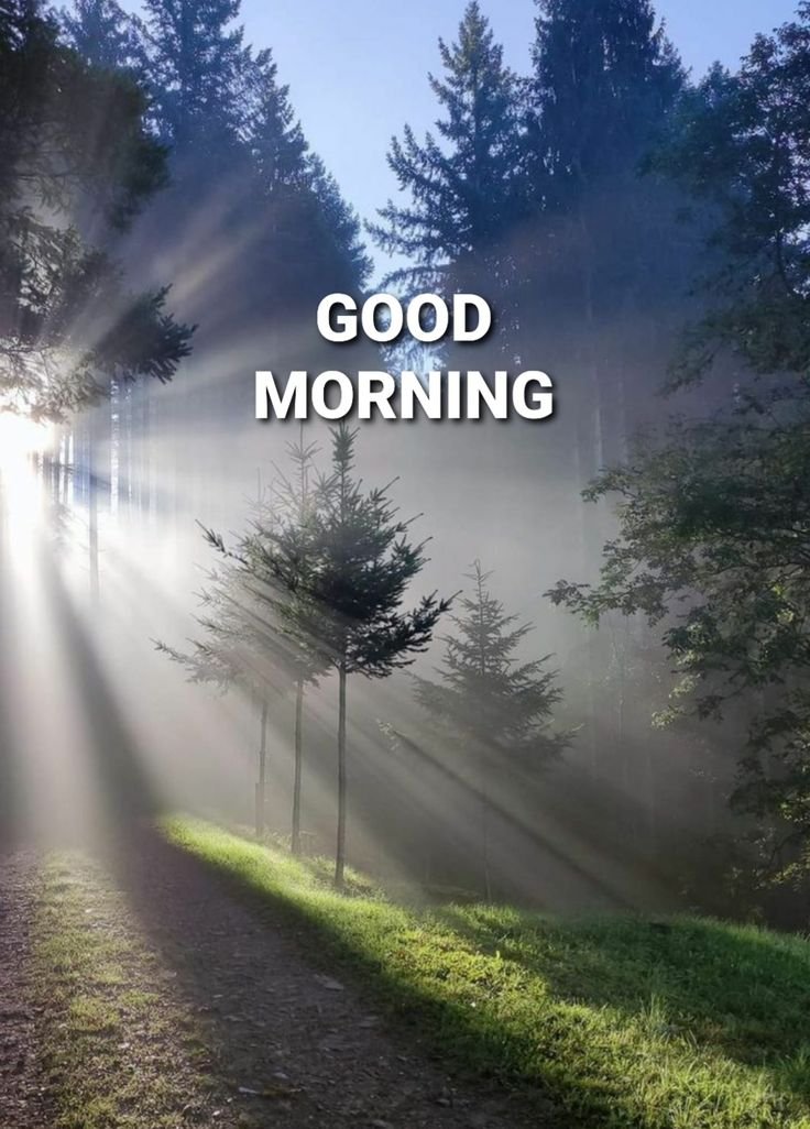 Good Morning Village Images Hd