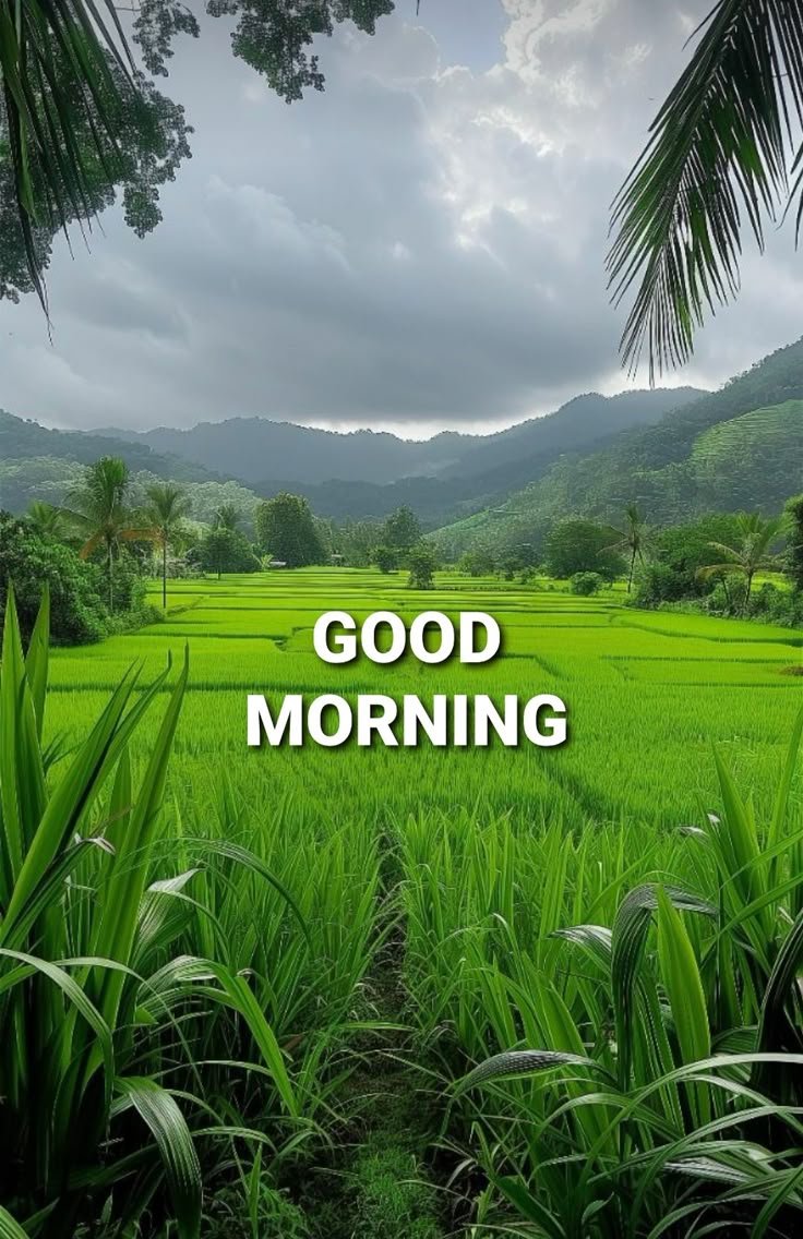 Good Morning Village Images Hd