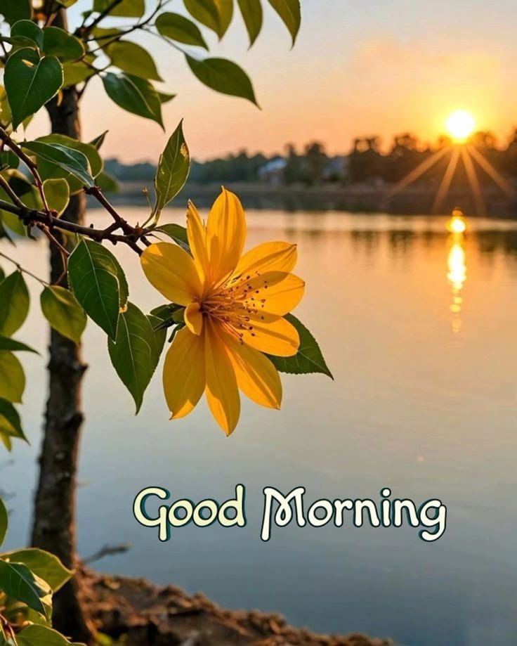 Good Morning Village Images Hd