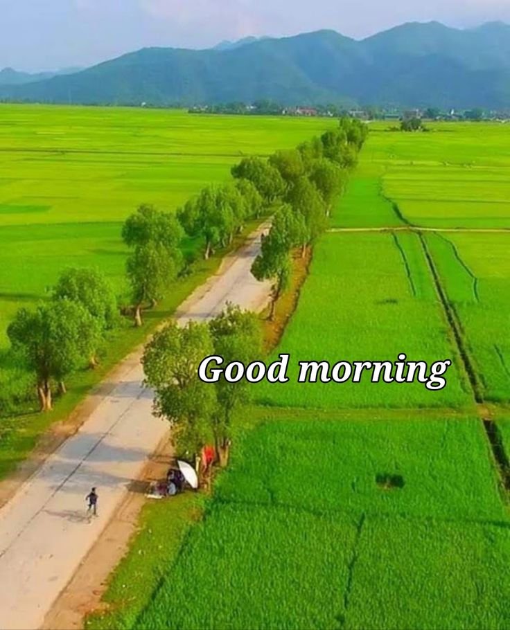 Good Morning village life Pics