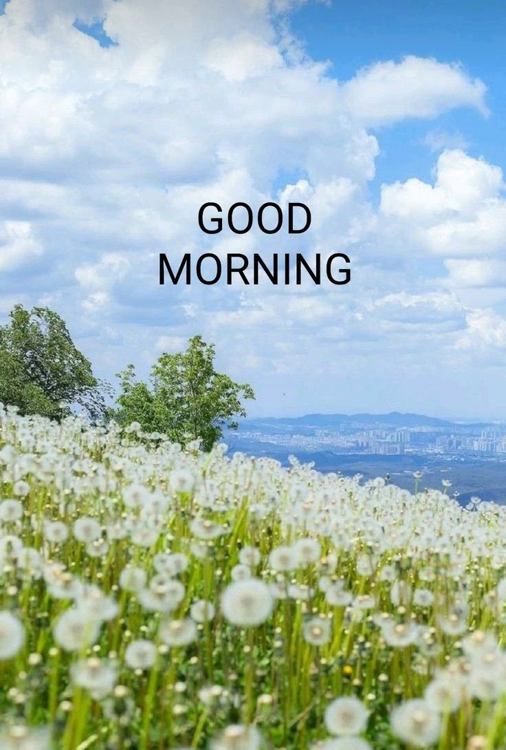 Good Morning Old village images