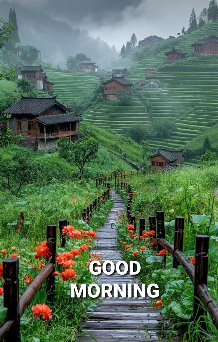 Indian village good morning nature images