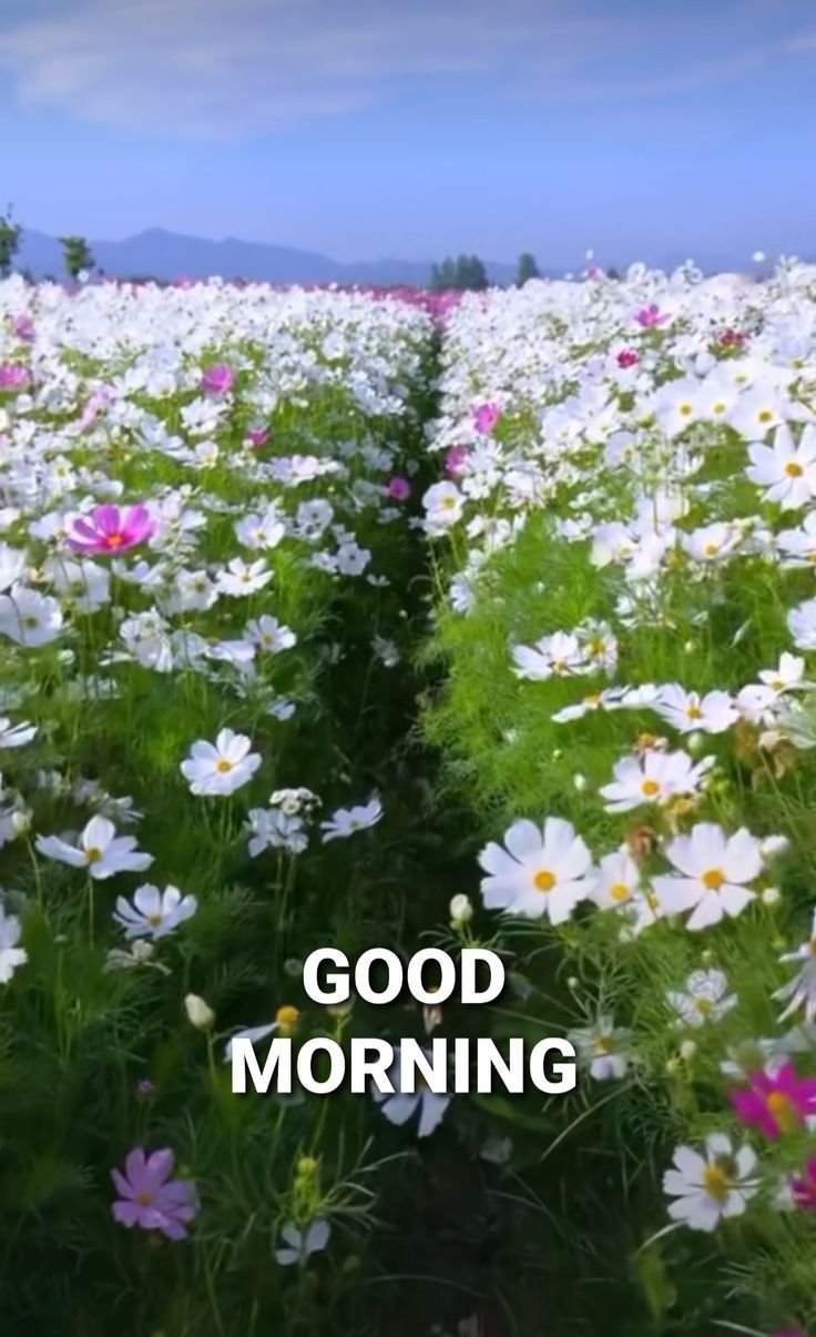 Good Morning Old village images