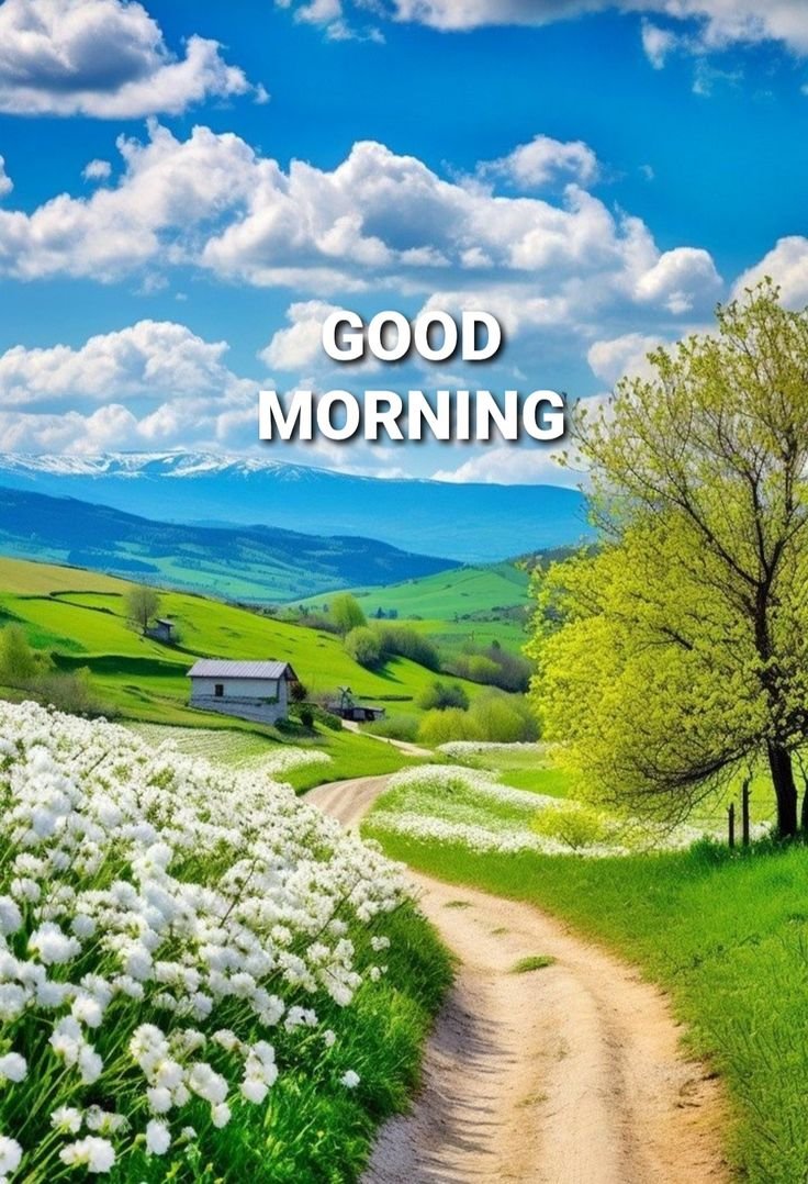 Village good morning nature images