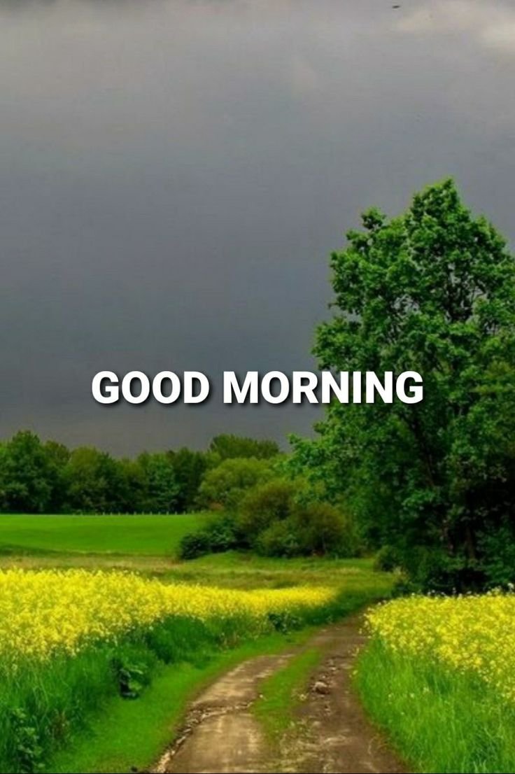 Village good morning nature photos Hd