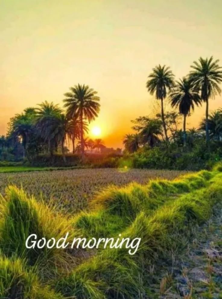 Village good morning nature photos Hd